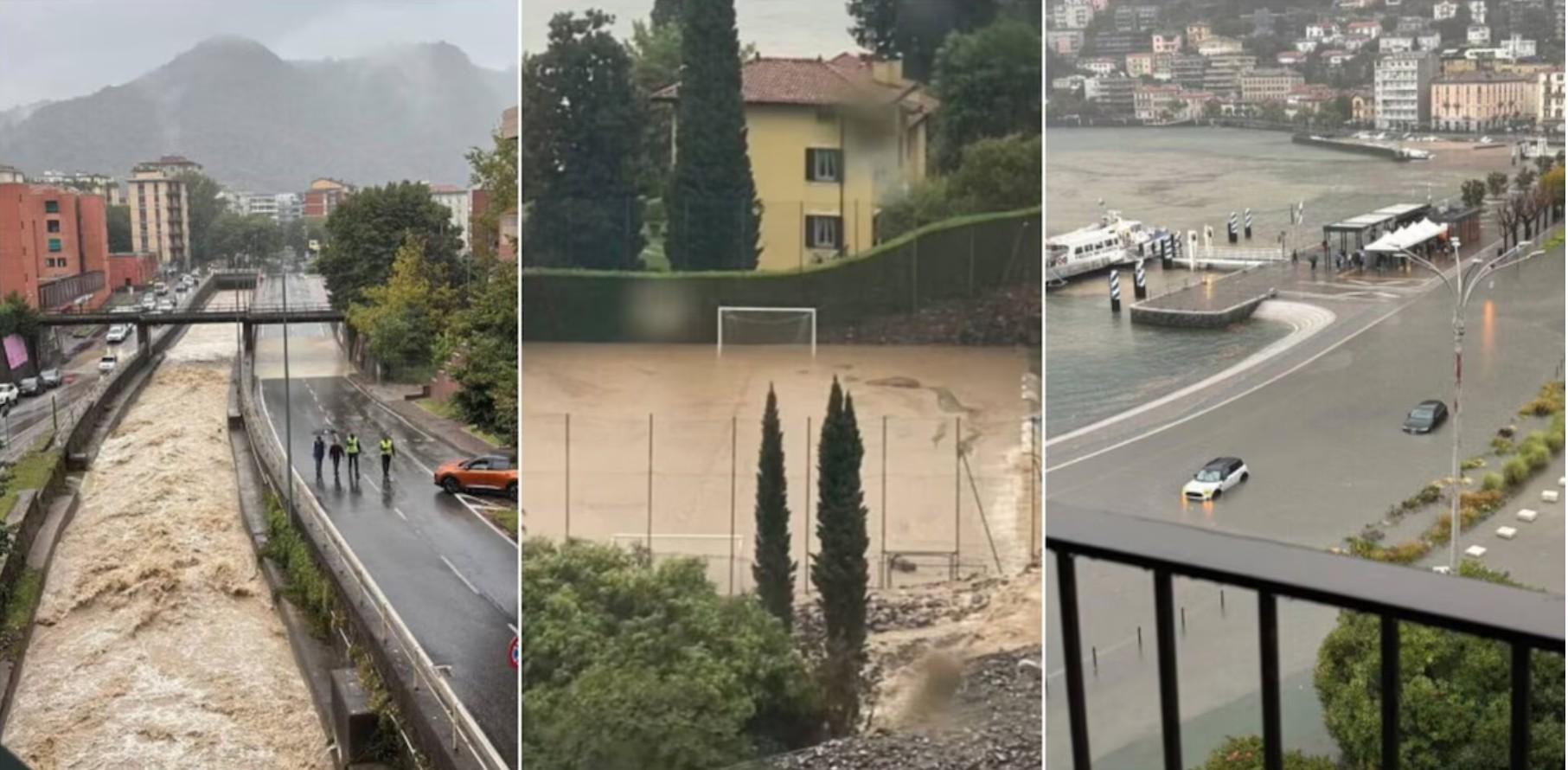 家族, 过这一举动 家族, 过这一举动