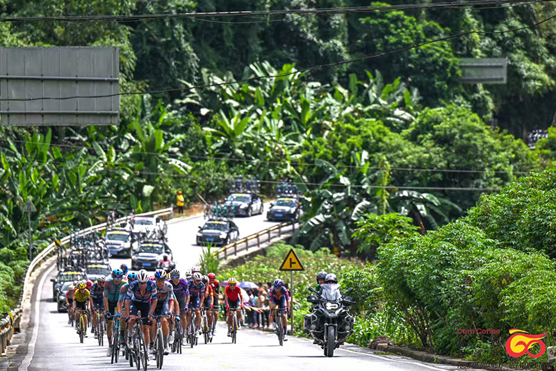 src, OWYnU src, OWYnU